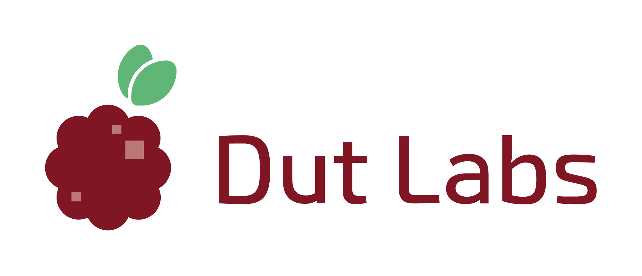 Dut Labs